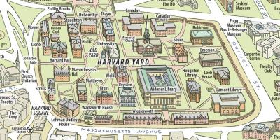 Mapa de la universitat de Harvard